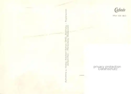 AK / Ansichtskarte Marienberg_Westerwald Partie an der Marienquelle Hoehenluftkurort Marienberg_Westerwald