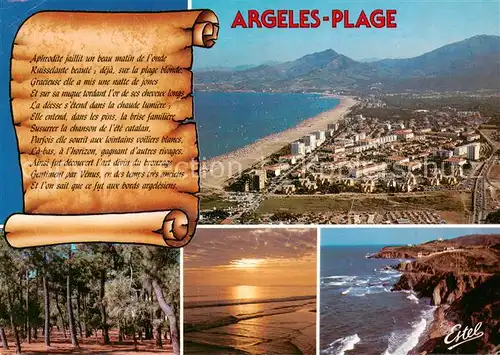 AK / Ansichtskarte Argeles Plage_66_Pyrenees Orientales Vue aerienne de la ville et de la plage les Alberes Lallee des pins La cote rocheuse 