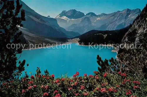 AK / Ansichtskarte Kandersteg_BE Alpenrosen am Oeschinensee Gross und Klein Lohner Elsigfirst Kandersteg_BE