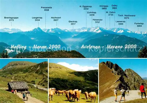 AK / Ansichtskarte Hafling_Avelengo Falzeben_IT Panorama Huette Haflinger Pferde Wanderer 