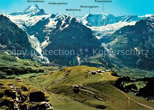 AK / Ansichtskarte Grindelwald Schreckhoerner Mettenberg Oberer Grindelwaldgletscher u. Fiescherhoerner Grindelwald