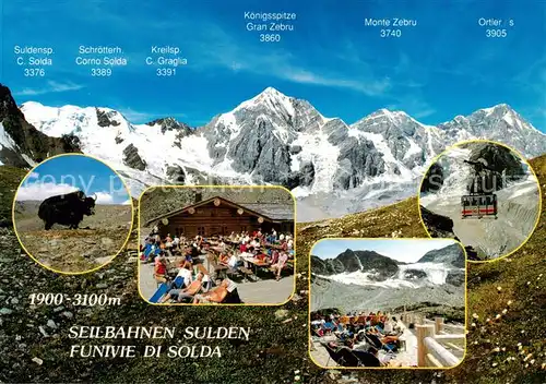 AK / Ansichtskarte Sulden_Solda_Trentino Alto Adige_IT Panorama Seilbahnen Wisent Berghuette Terrasse 