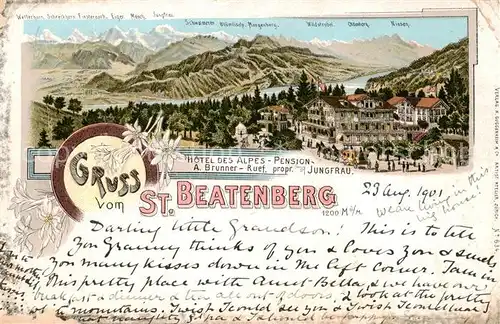 AK / Ansichtskarte St_Beatenberg_BE Hotel des Alpes   Berg Panorama 