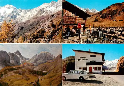 AK / Ansichtskarte Moos_Passeier Gasthof Hochfirst Schafuebertrieb von Passeier zur oetztaleralm Schneeberg Bergwerk Gasthaus Hochfirst Moos Passeier