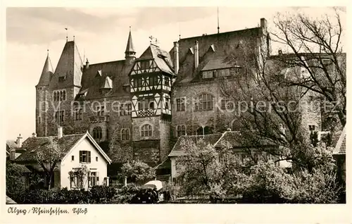 AK / Ansichtskarte Alzey Schloss Alzey