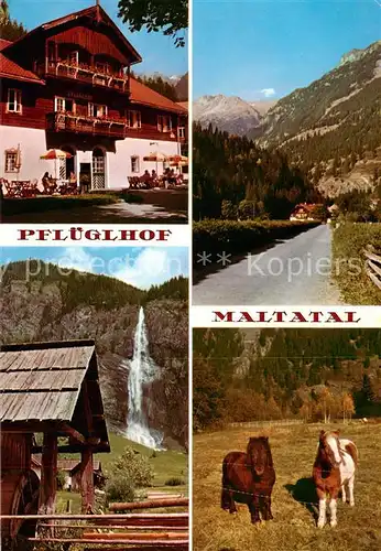 AK / Ansichtskarte Maltatal_Kaernten_AT Pfluegelhof Wasserfall Ponys 