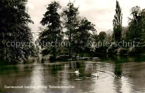 AK / Ansichtskarte Landau__Pfalz Gartenstadt Schwanenweiher 