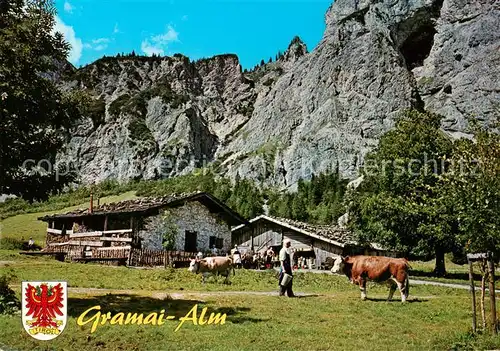 AK / Ansichtskarte Pertisau_Achensee Gramai Alm Almvieh Karwendelgebirge Pertisau Achensee
