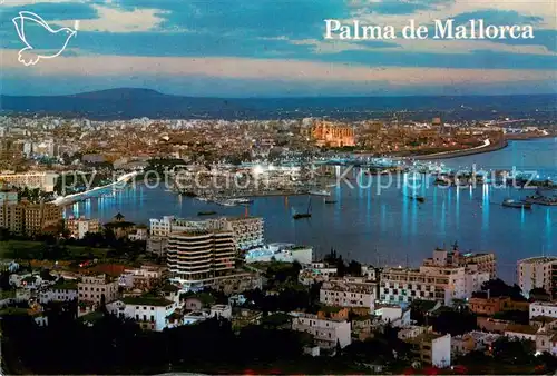 AK / Ansichtskarte Palma_de_Mallorca_ES La Bahia de noche 