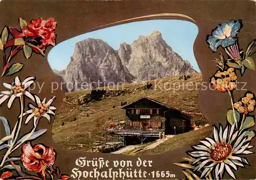 AK / Ansichtskarte Pfronten Hochalphuette mit Aggenstein Allgaeuer Alpen Alpenflora Pfronten