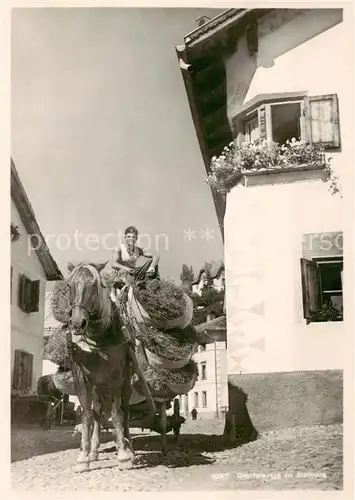 AK / Ansichtskarte Schuls_GR Dorfpartie Heuwagen Schuls_GR