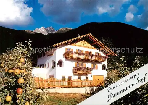 AK / Ansichtskarte Schenna_Meran_Trentino_IT Ferienwohnungen Baumann Sog Obstbaeume 