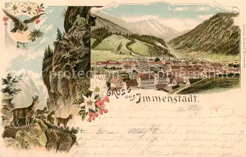 AK / Ansichtskarte Immenstadt_Allgaeu Gesamtansicht Immenstadt_Allgaeu