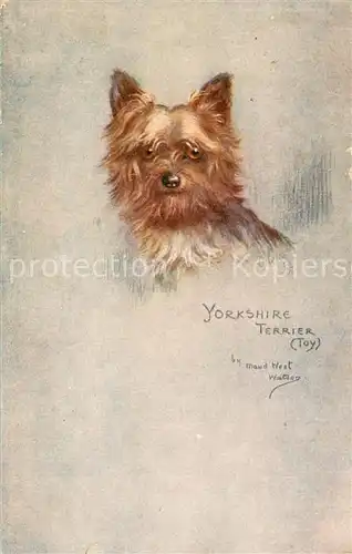 AK / Ansichtskarte Verlag_Tucks_Oilette_Serie Yorkshire Terrier  