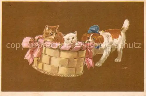 AK / Ansichtskarte Katzen Hund und katzen  