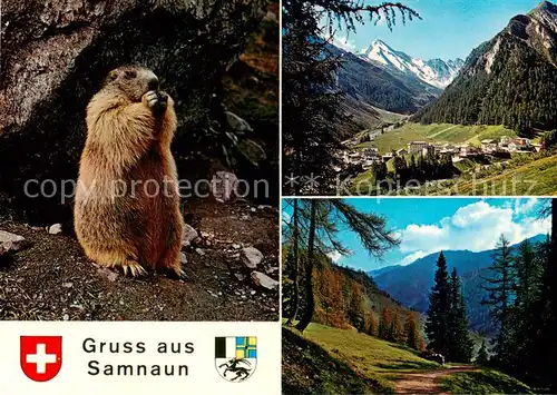 AK / Ansichtskarte Samnaun_Dorf_GR Gesamtansicht Alpenpanorama Landschaft Murmeltier 