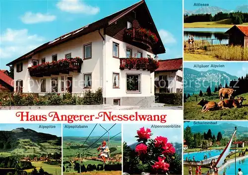 AK / Ansichtskarte Nesselwang Haus Angerer Attlesee Allgaeuer Alpvieh Alpspitze Alpspitzbahn Alpenrosen Schwimmbad Nesselwang