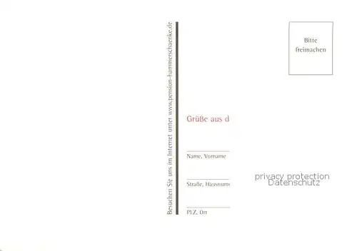 AK / Ansichtskarte Oberviechtach Gasthof Pension Hammerschaenke Oberviechtach