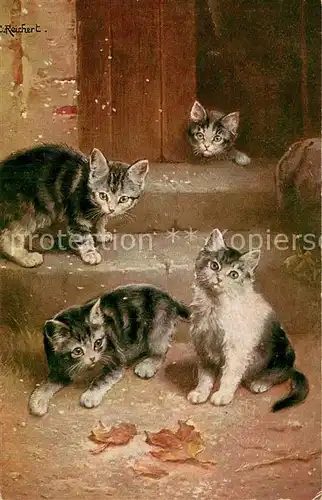 AK / Ansichtskarte Katzen C.Reichert T.S.N. Serie 1698 