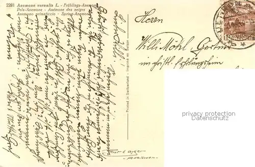 AK / Ansichtskarte Blumen Anemone  