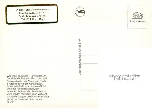 AK / Ansichtskarte Engstlatt Alpen und Seerosengarten Fliegeraufnahme Engstlatt