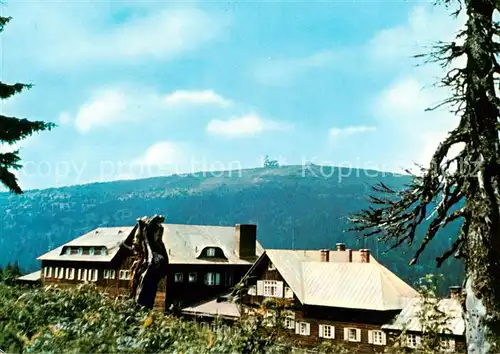 AK / Ansichtskarte Jeseniky_Freiwaldau_CZ Chata Ovcarna y pozadi Praded Berghaus 
