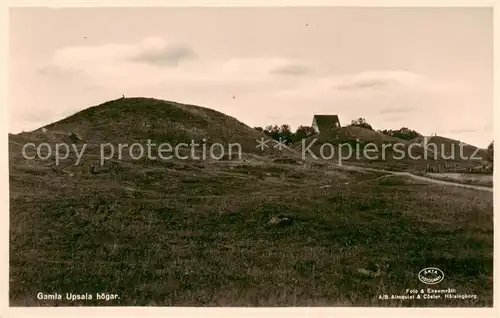 AK / Ansichtskarte Gamla_Upsala_Sweden Hoegar 