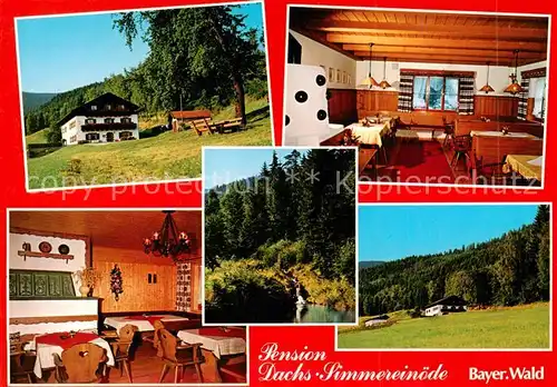 AK / Ansichtskarte Simmereinoede_Hohenwarth Pension Dachs Bayerischer Wald 