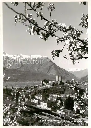 AK / Ansichtskarte Bellinzona Panorama da nord Bellinzona