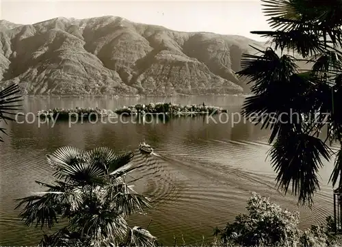 AK / Ansichtskarte Brissago_Lago_Maggiore_TI Panorama 