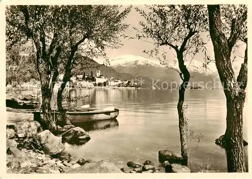 AK / Ansichtskarte Brissago_Lago_Maggiore_TI Panorama 