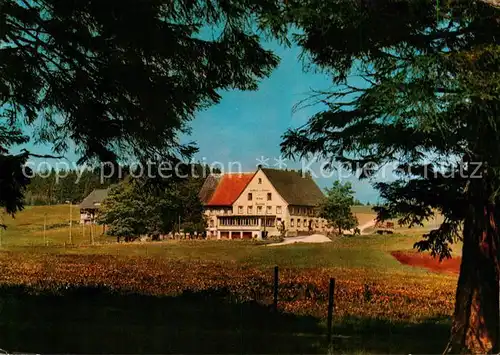 AK / Ansichtskarte Escheck Gasthof Pension zum Kreuz Hoehenluftkurort Escheck