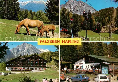 AK / Ansichtskarte Falzeben_Hafling_Bozen_Suedtirol_IT Haflinger Pferde Sessellift Gasthof Cafe 