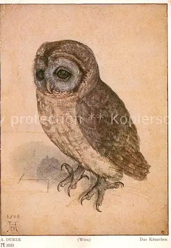 AK / Ansichtskarte Duerer_Albrecht_Nuernberg 1508 Das kaeuzchen Wien 