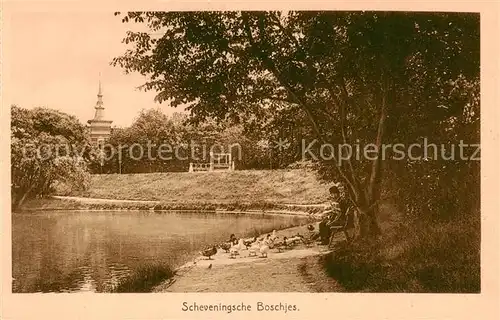 AK / Ansichtskarte Den_Haag_La_Haye_NL Scheveningsche Boschjes Park 