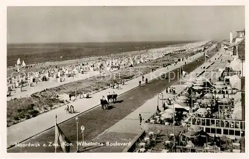 AK / Ansichtskarte Noordwijk_Noordwyk_aan_Zee Kon. Wilhelmine Boulevard Noordwijk_Noordwyk