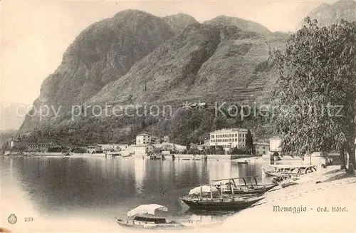 AK / Ansichtskarte  Menaggio_Lago_di_Como_IT Grd. Hotel 
