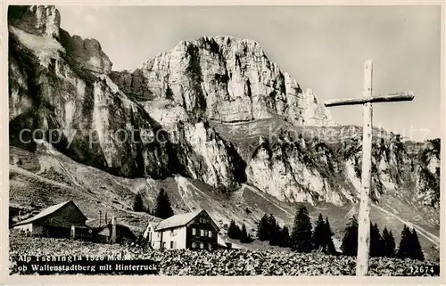 AK / Ansichtskarte Tschingla_Alp_2443m_GR Alp Tschingla ob Wallenstadtberg m. Hinterruck 