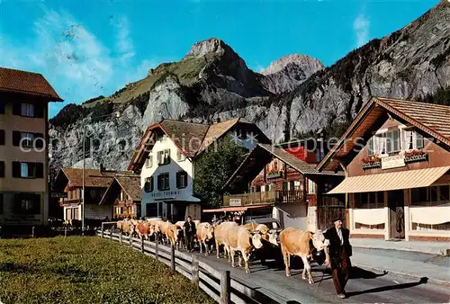 AK / Ansichtskarte Kandersteg_BE Alpabfahrt mit Alpschelenhubel Hotel Bluemlisalp Hotel Touring Kandersteg_BE