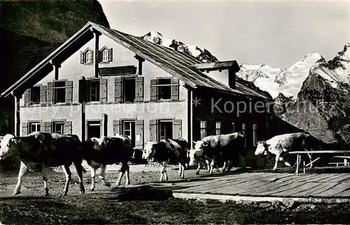 AK / Ansichtskarte Grindelwald Berghotel Grosse Scheidegg Viehauftrieb Grindelwald