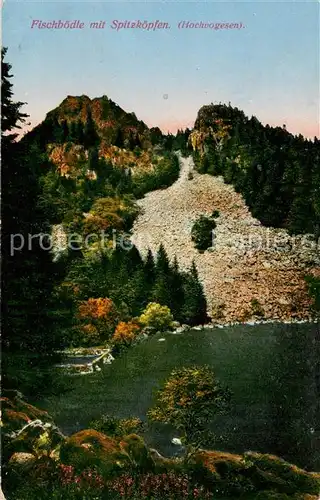 AK / Ansichtskarte Muenster__Elsass_Munster_68_Alsace Fischboedle mit Spitzkoepfen Hochvogesen 