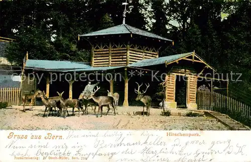 AK / Ansichtskarte Bern_BE Hirschenpark Bern_BE