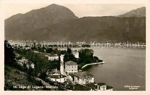 AK / Ansichtskarte Melide_Lago_di_Lugano Panorama Melide_Lago_di_Lugano