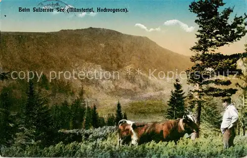 AK / Ansichtskarte Muenstertal_Gerardmer_88_Vosges Beim Sulzerner See 