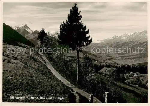 AK / Ansichtskarte Allmend_Aeschi_Spiez_BE Blick ins Frutigtal 