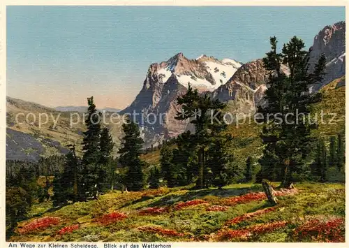 AK / Ansichtskarte Wetterhorn_3236m_Lauterbrunnen_BE Panorama 