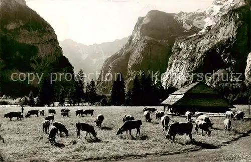AK / Ansichtskarte Kandersteg_BE Gasternholz Sennhuette mit Sackhorn und Wildelsigen Berner Alpen Kandersteg_BE
