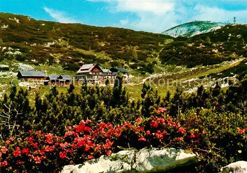 AK / Ansichtskarte  Obertraun_AT Schilcherhaus Gjaidalm Alpenflora Dachsteingebirge 