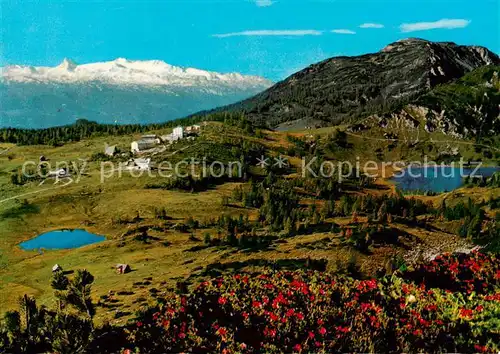 AK / Ansichtskarte  Tauplitz_Steiermark_AT Tauplitzalm mit Dachstein Landschaftspanorama Dachsteingebirge 