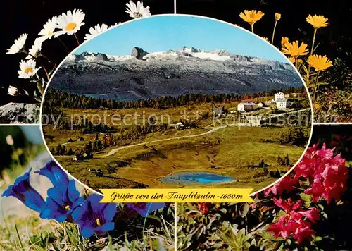 AK / Ansichtskarte 73795787 Tauplitzalm_1650m_Dachstein_AT Panorama Dachsteingebirge Alpenflora 